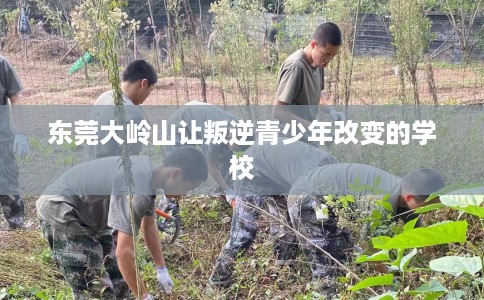 东莞大岭山让叛逆青少年改变的学校