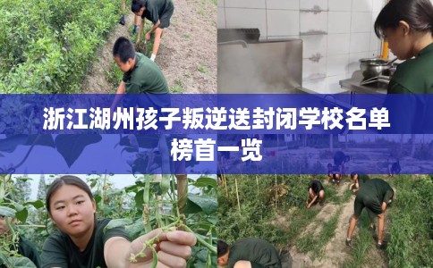 浙江湖州孩子叛逆送封闭学校名单榜首一览