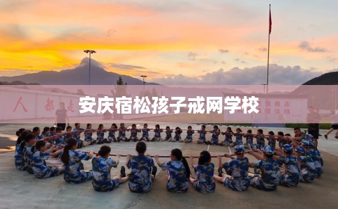 安庆宿松孩子戒网学校