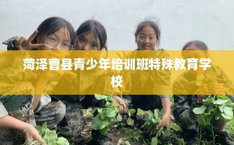 菏泽曹县青少年培训班特殊教育学校