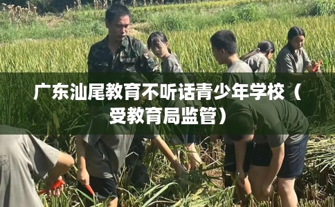 广东汕尾教育不听话青少年学校(受教育局监管) 广东汕尾教育不听话青少年学校(受教育局监管)