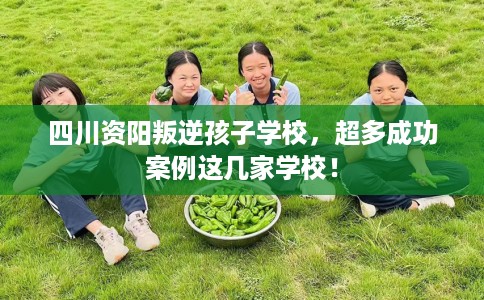 四川资阳叛逆孩子学校，超多成功案例这几家学校！