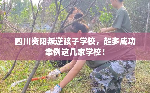 四川资阳叛逆孩子学校，超多成功案例这几家学校！