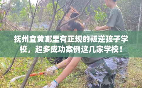 抚州宜黄哪里有正规的叛逆孩子学校，超多成功案例这几家学校！