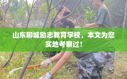 山东聊城励志教育学校，本文为您实地考察过！
