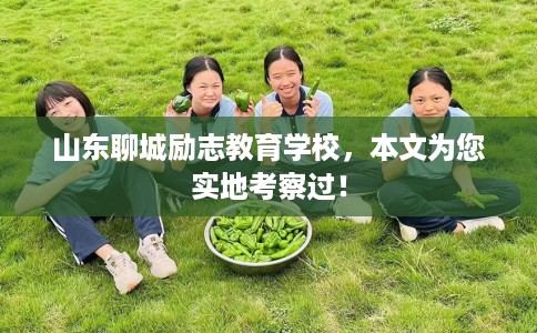 山东聊城励志教育学校，本文为您实地考察过！