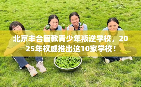 北京丰台管教青少年叛逆学校，2025年权威推出这10家学校！