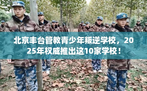 北京丰台管教青少年叛逆学校，2025年权威推出这10家学校！
