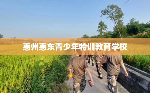 惠州惠东青少年特训教育学校