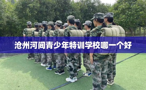 沧州河间青少年特训学校哪一个好