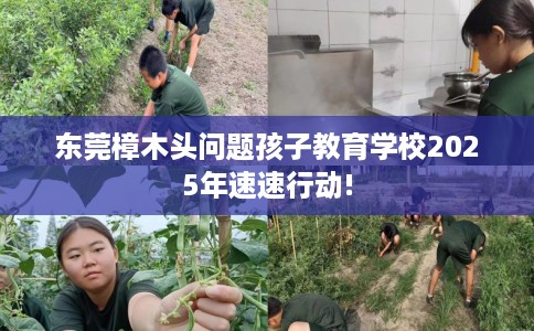 东莞樟木头问题孩子教育学校2025年速速行动!