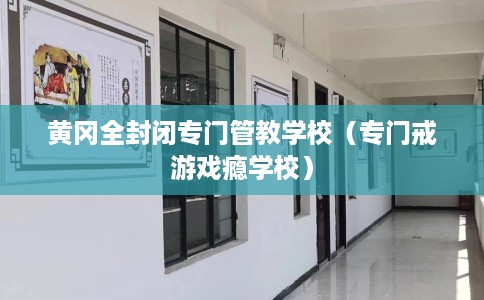 黄冈全封闭专门管教学校（专门戒游戏瘾学校）