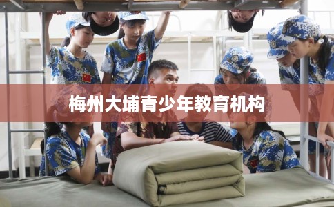 梅州大埔青少年教育机构