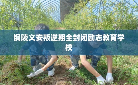 铜陵义安叛逆期全封闭励志教育学校