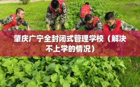 肇庆广宁全封闭式管理学校（解决不上学的情况）