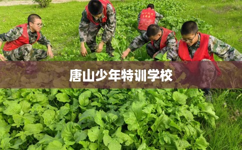 唐山少年特训学校