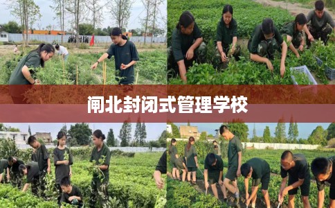 闸北封闭式管理学校