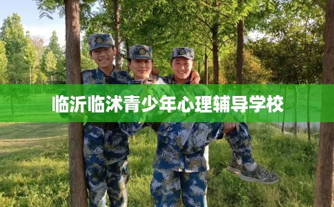临沂临沭青少年心理辅导学校