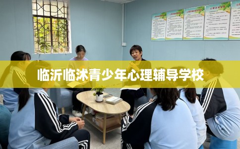 临沂临沭青少年心理辅导学校