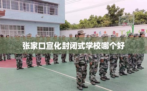 张家口宣化封闭式学校哪个好