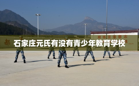 石家庄元氏有没有青少年教育学校 石家庄元氏有没有青少年教育学校
