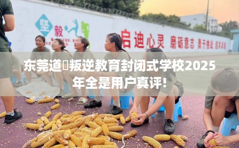 东莞道滘叛逆教育封闭式学校2025年全是用户真评!