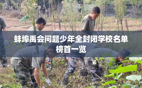 蚌埠禹会问题少年全封闭学校名单榜首一览
