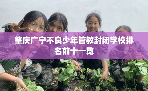 肇庆广宁不良少年管教封闭学校排名前十一览