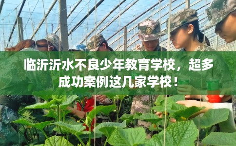 临沂沂水不良少年教育学校，超多成功案例这几家学校！