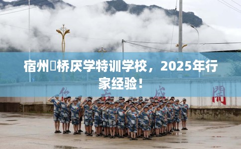 宿州埇桥厌学特训学校，2025年行家经验！