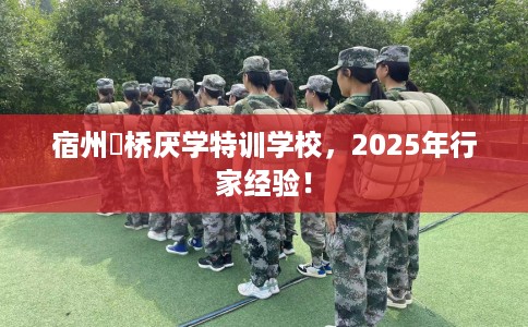 宿州埇桥厌学特训学校，2025年行家经验！
