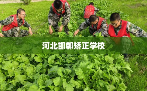 河北邯郸矫正学校
