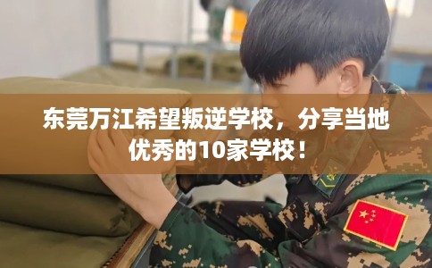 东莞万江希望叛逆学校，分享当地优秀的10家学校！