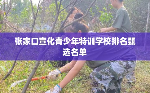 张家口宣化青少年特训学校排名甄选名单
