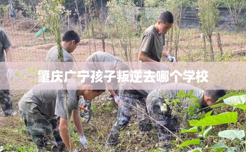 肇庆广宁孩子叛逆去哪个学校