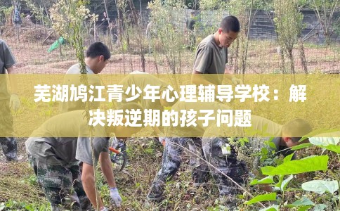芜湖鸠江青少年心理辅导学校：解决叛逆期的孩子问题