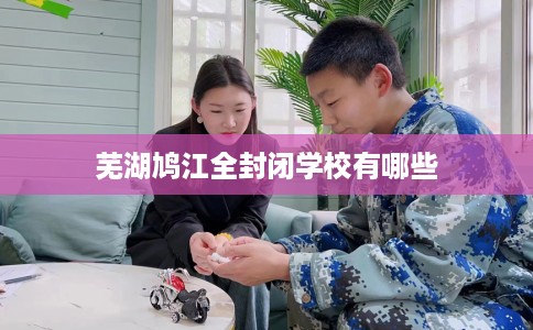 芜湖鸠江全封闭学校有哪些