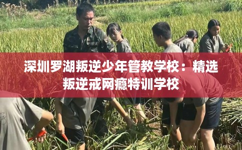 深圳罗湖叛逆少年管教学校:精选叛逆戒网瘾特训学校 深圳罗湖叛逆少年管教学校:精选叛逆戒网瘾特训学校