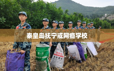 秦皇岛抚宁戒网瘾学校