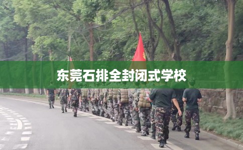 东莞石排全封闭式学校