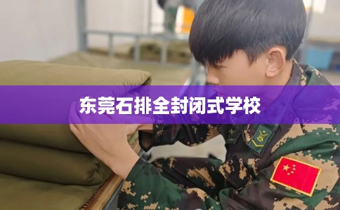 东莞石排全封闭式学校