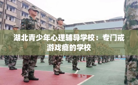 湖北青少年心理辅导学校：专门戒游戏瘾的学校