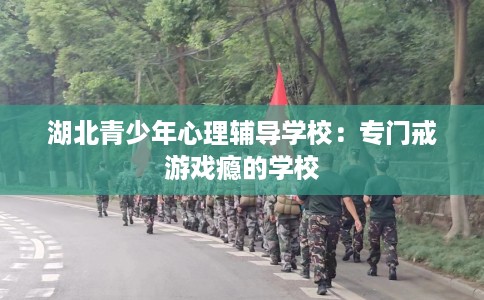 湖北青少年心理辅导学校：专门戒游戏瘾的学校