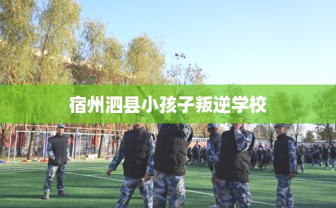 宿州泗县小孩子叛逆学校