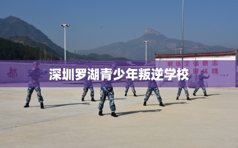 深圳罗湖青少年叛逆学校