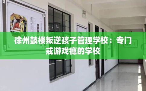 徐州鼓楼叛逆孩子管理学校：专门戒游戏瘾的学校