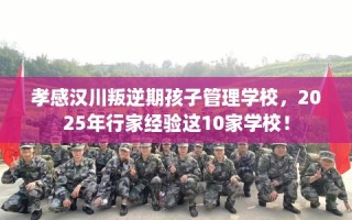 孝感汉川叛逆期孩子管理学校，2025年行家经验这10家学校！