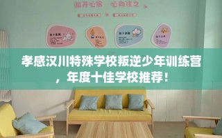 孝感汉川特殊学校叛逆少年训练营，年度十佳学校推荐！
