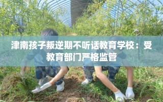 津南孩子叛逆期不听话教育学校：受教育部门严格监管