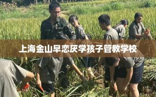 上海金山早恋厌学孩子管教学校